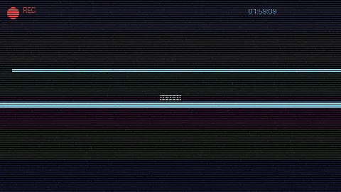 胡同里的故事 - 花与蛇下载 人文纪实